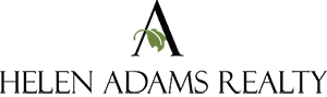 Van Dang logo